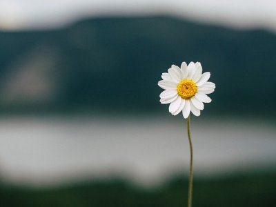 Crisi come opportunità di&nbsp;cambiamento